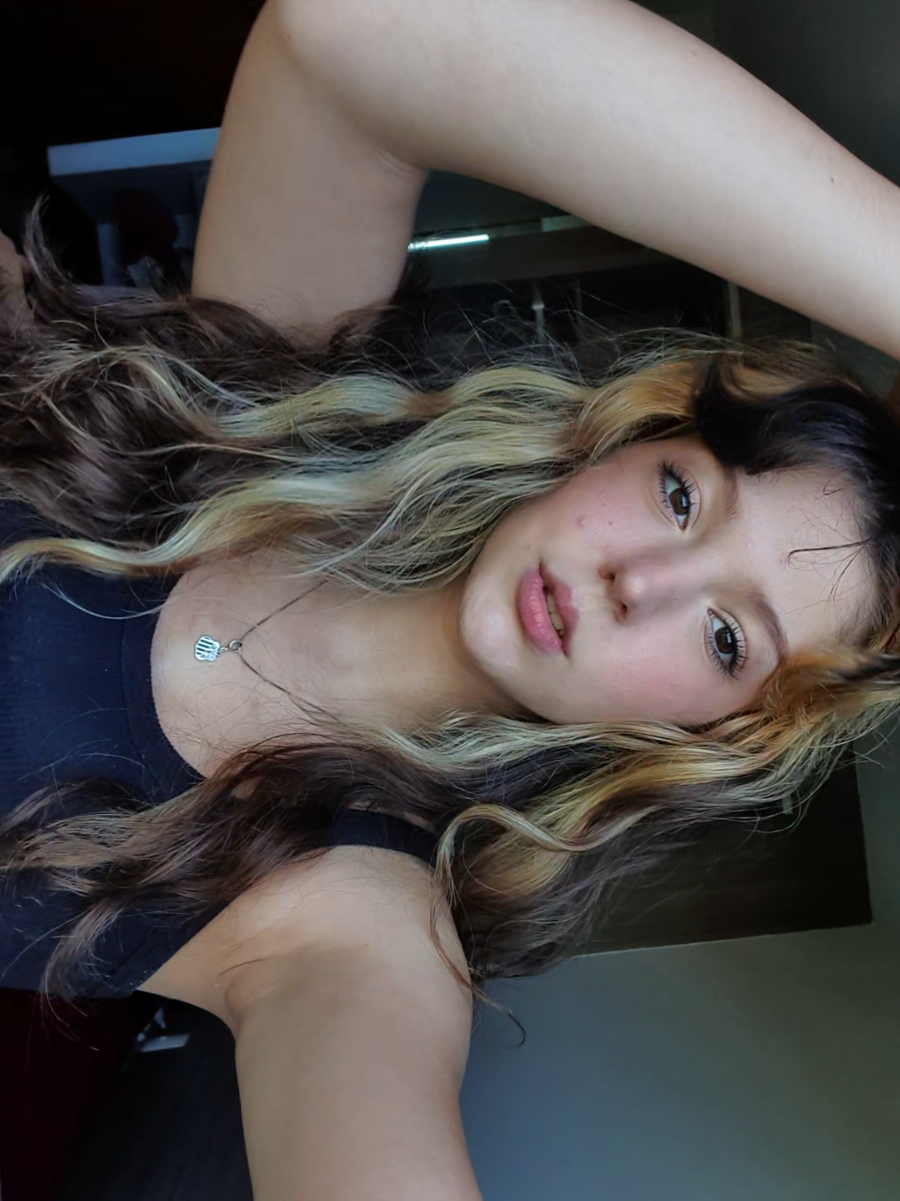 @Laninha