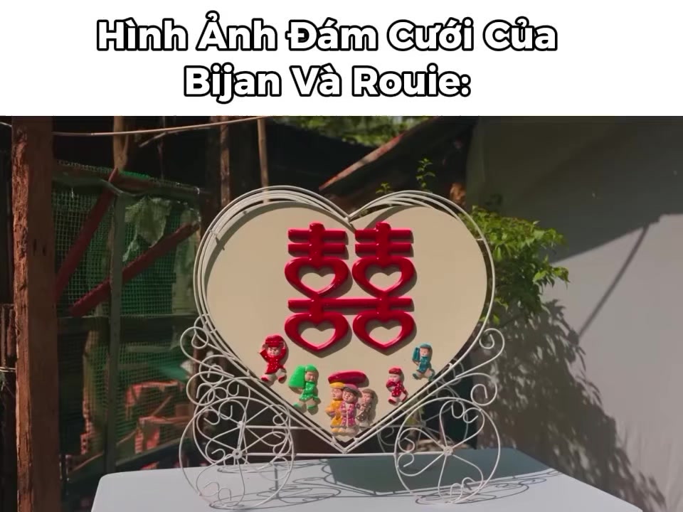 @𝗛𝗶𝗸𝗮𝗿𝘂🦝