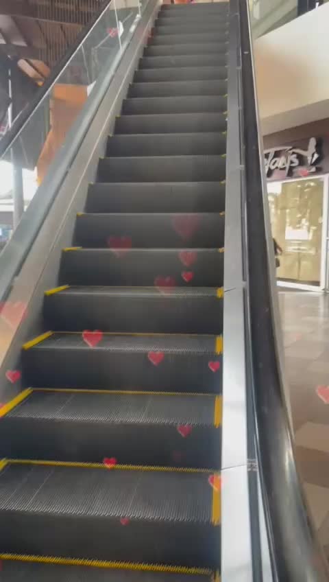 @T&iacute;o TK