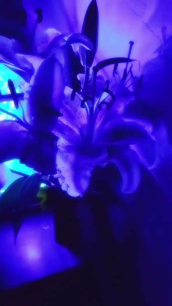 @_Call_Me_Candice_