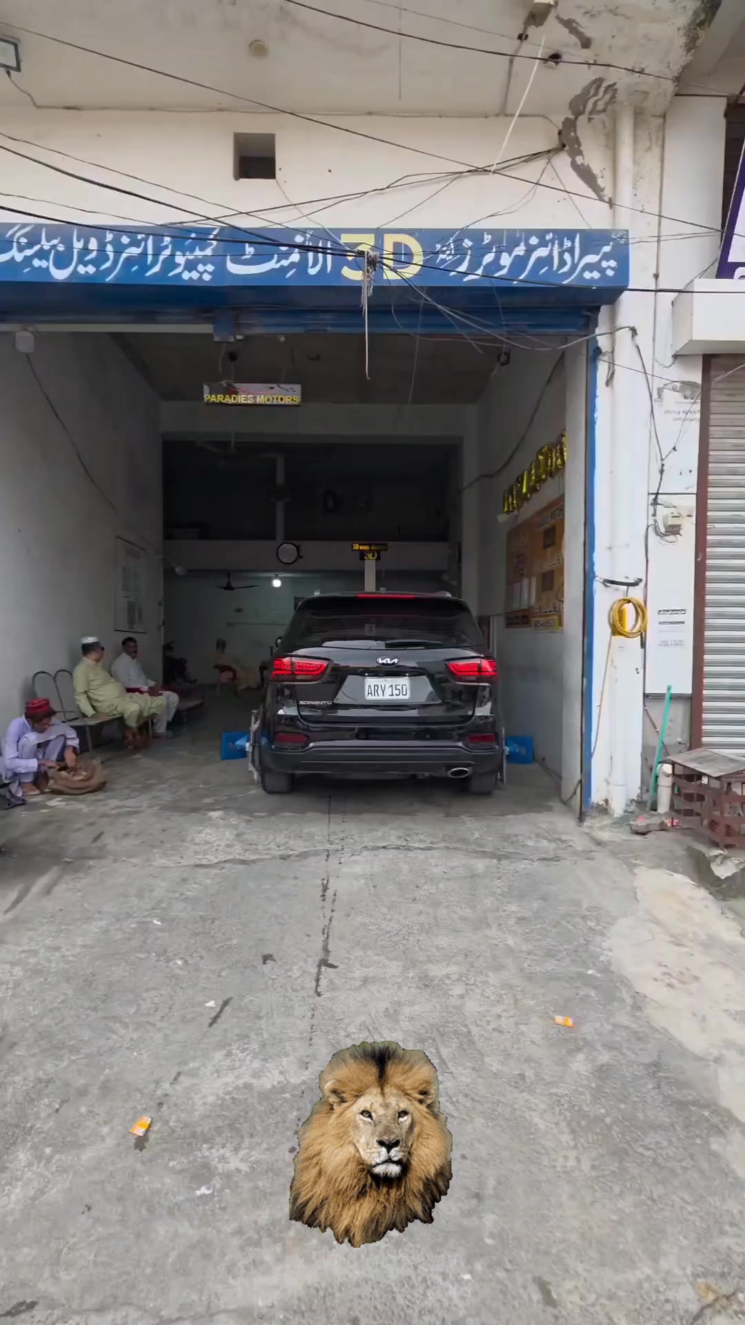@paradise 3d wheel alignment 12