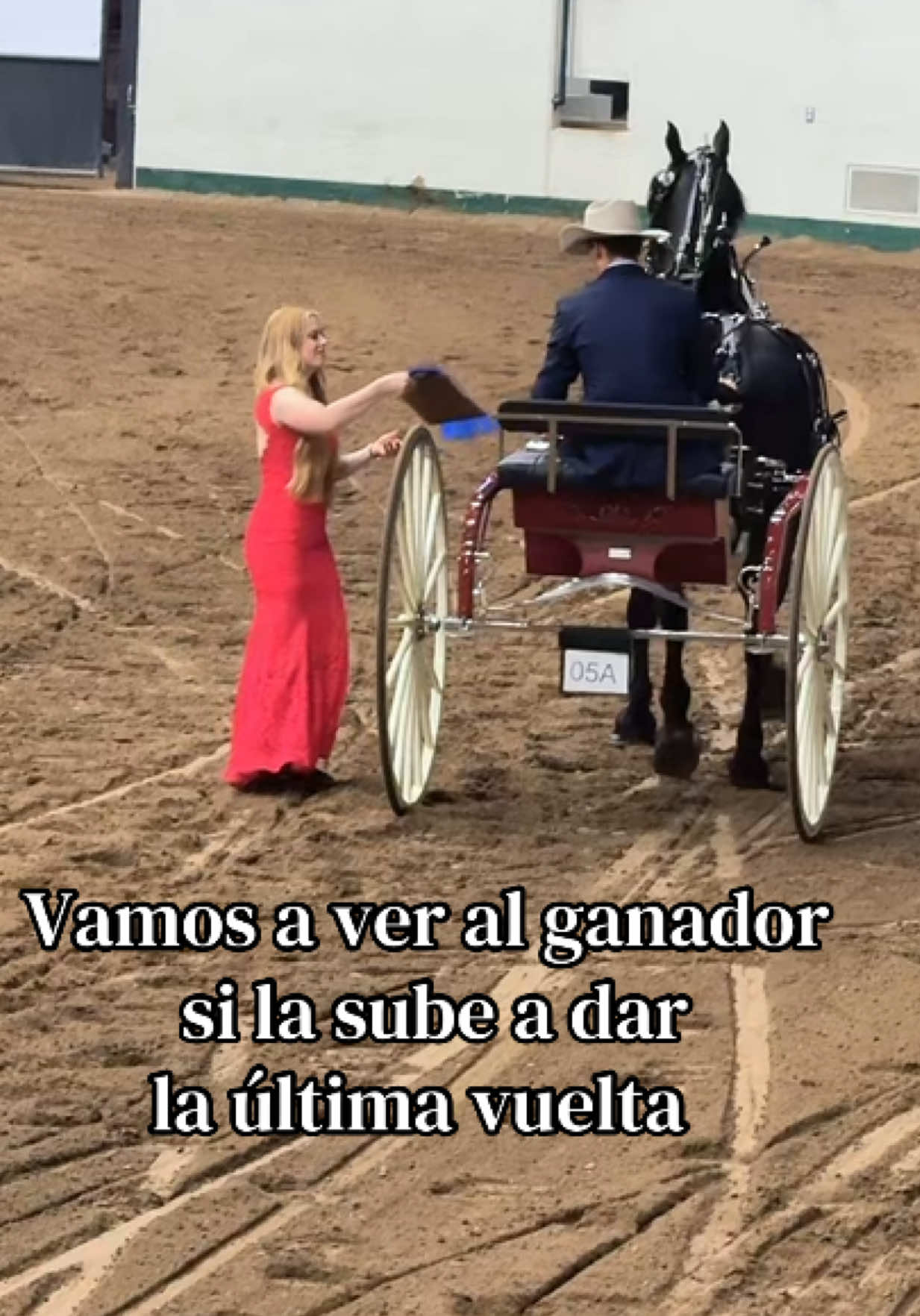 @fernando solis