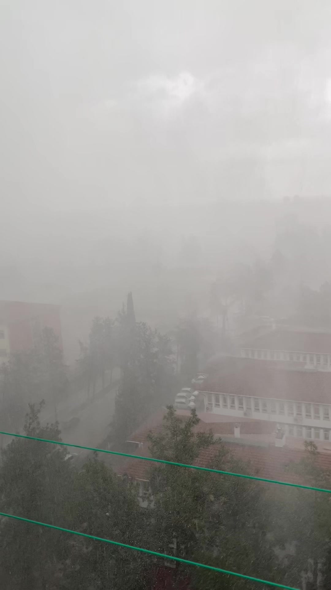 @ŞAHİN_01