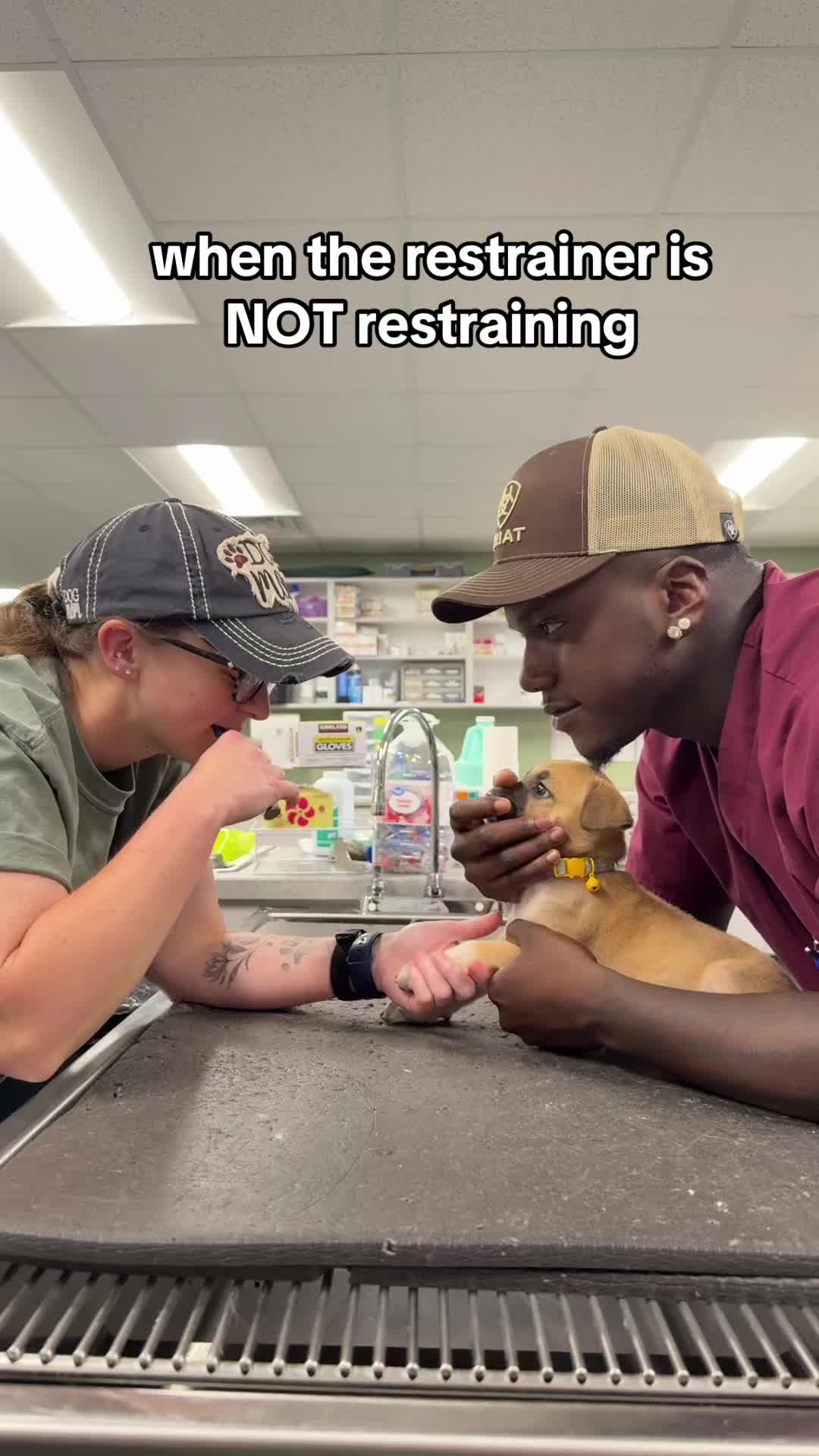 @Triangle Vet