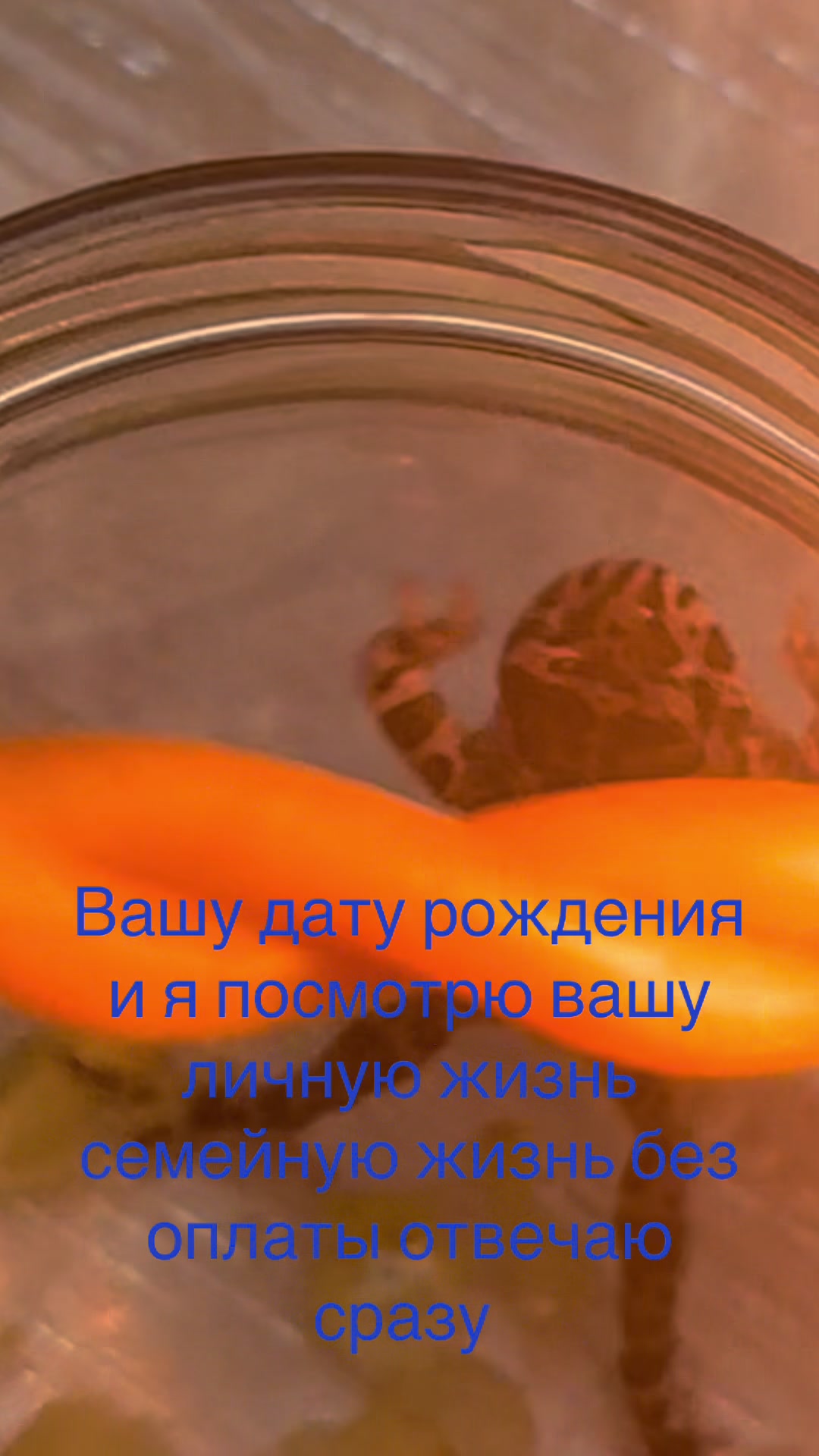 @ясновидящая бабушка Рая