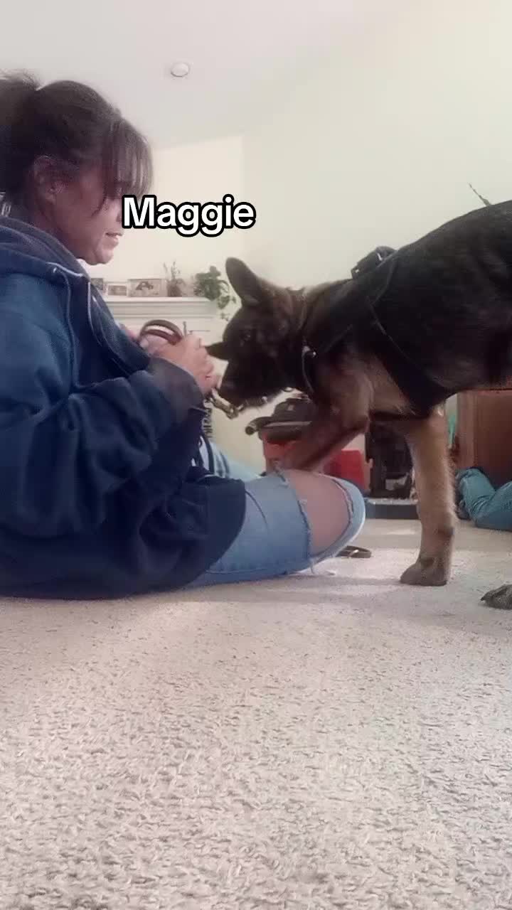 @shotgunJenny