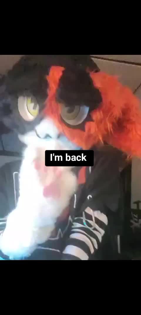 @Meowskulls Irl