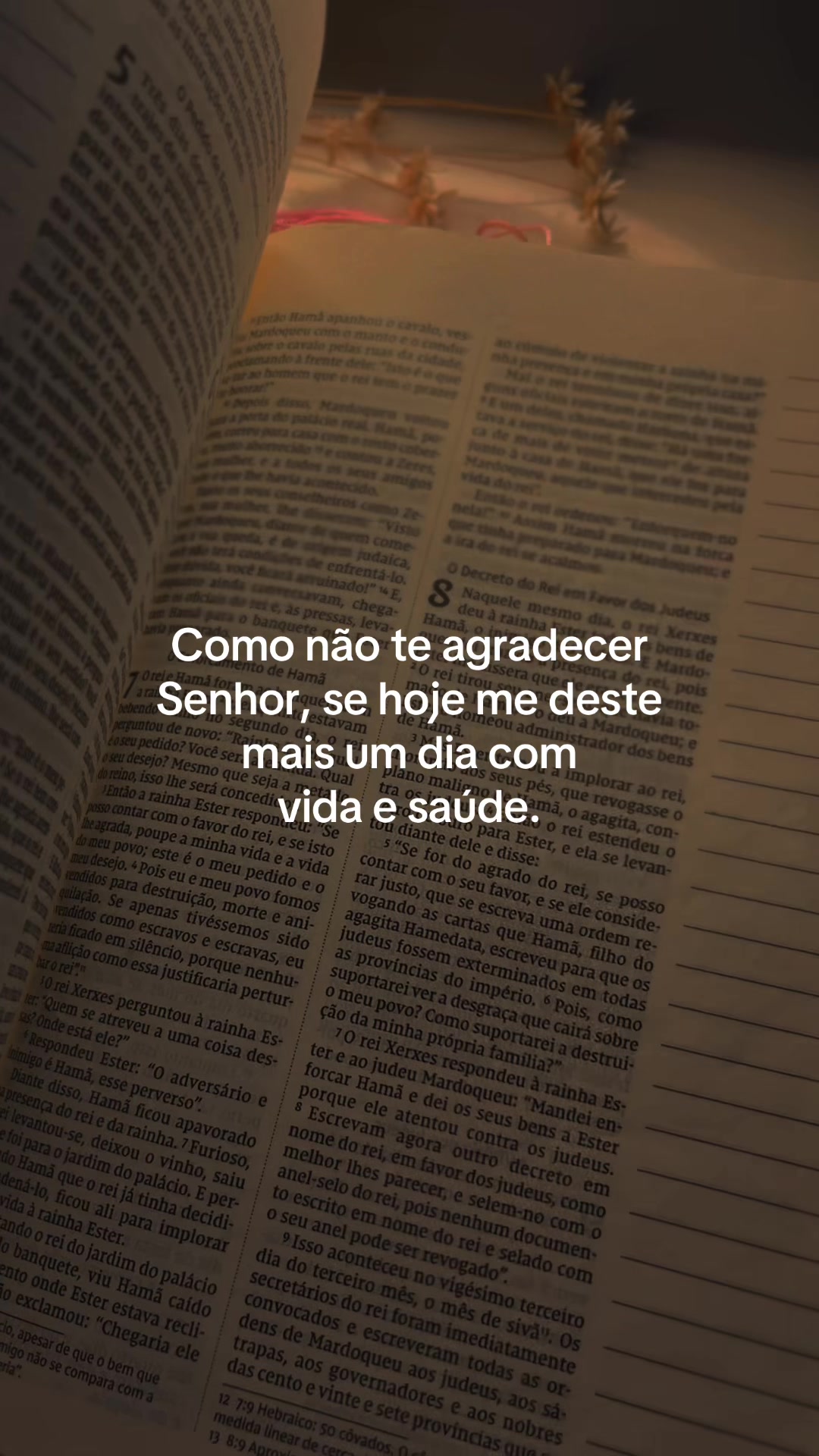 @Sil Rodry