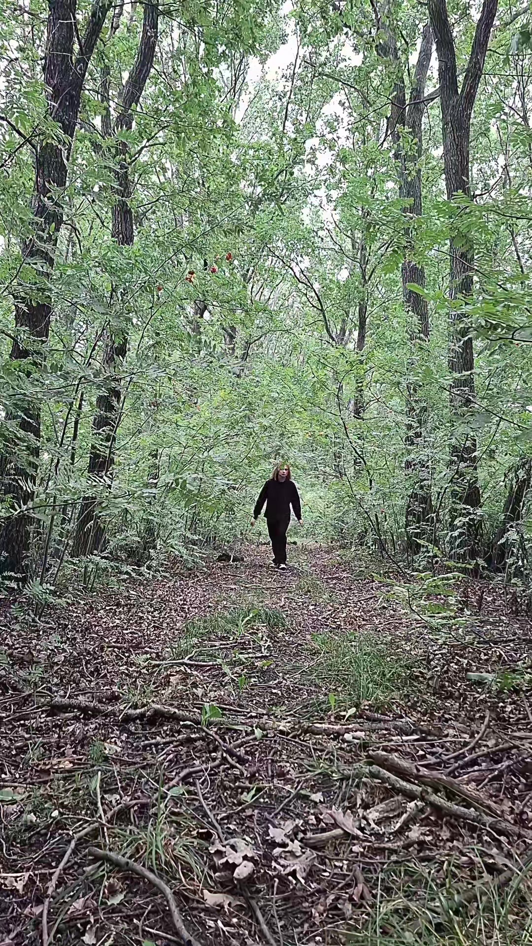 @sadkrou