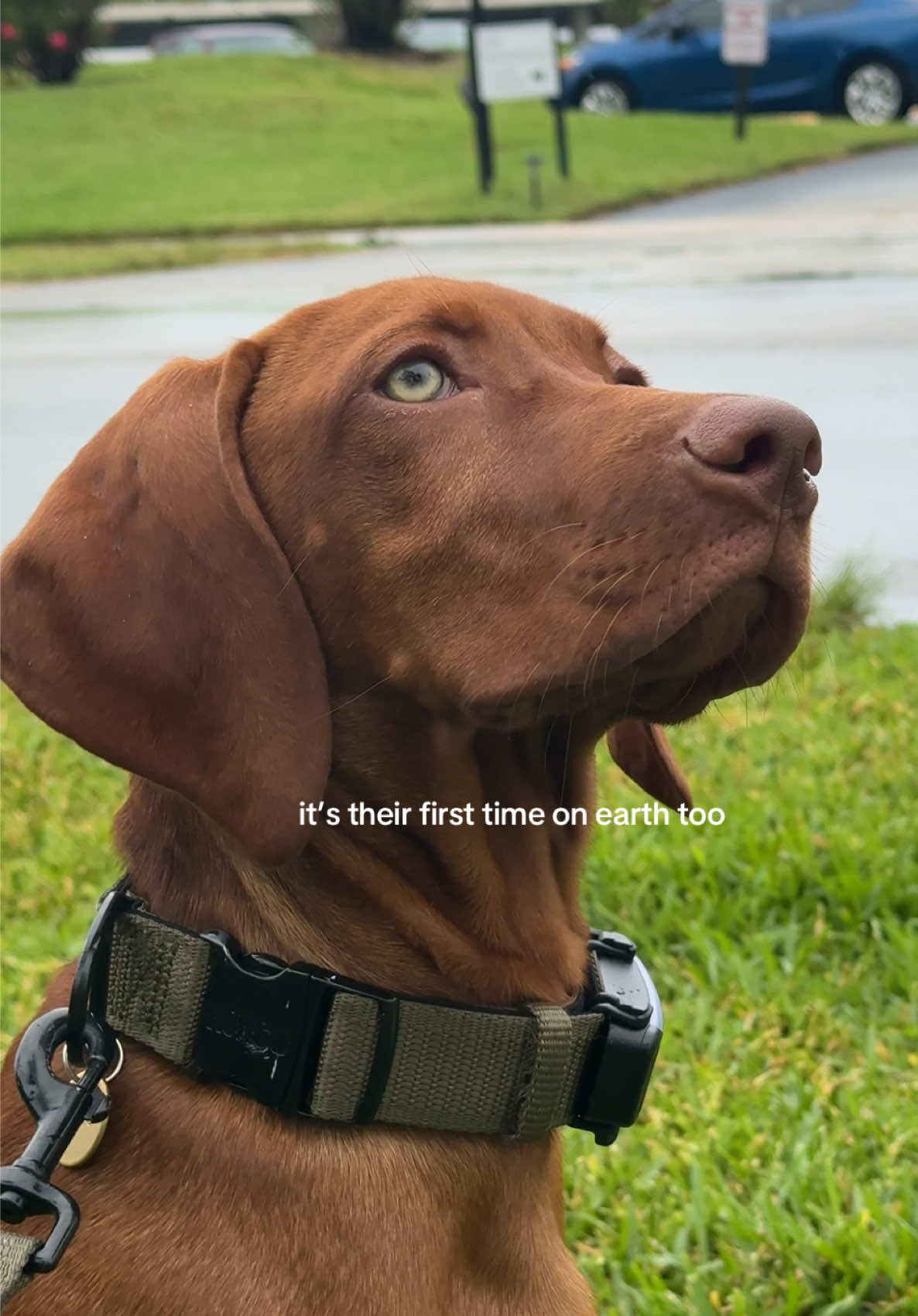 @B R I S T O N