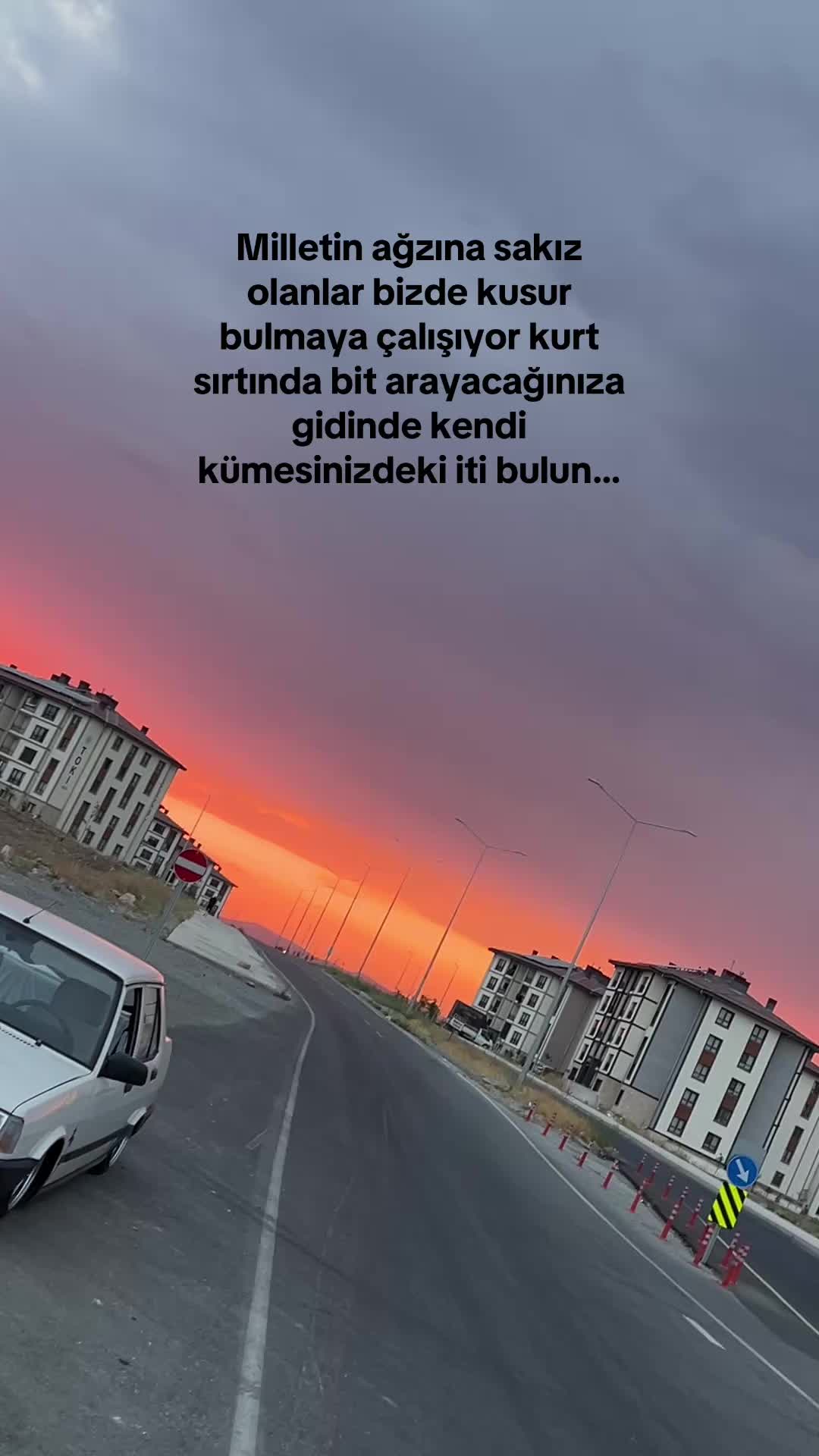 @Yaşar Yank