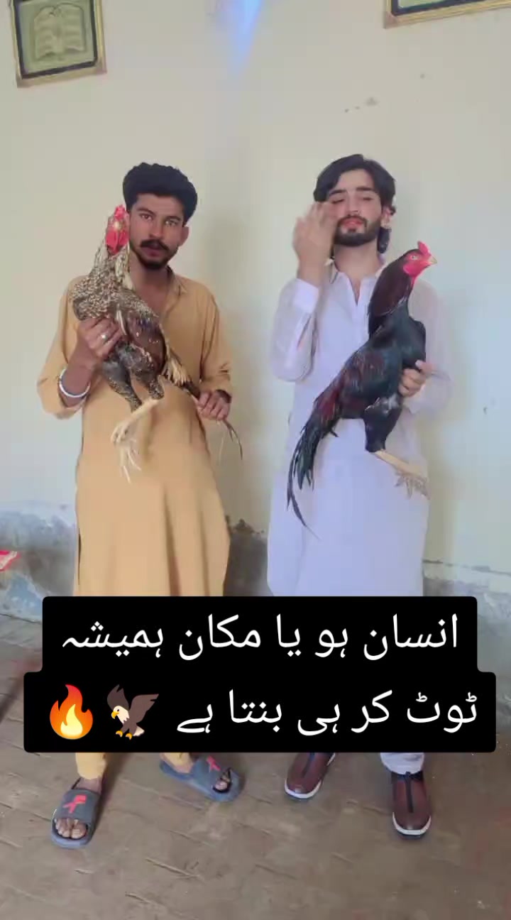 @kashifaseel2
