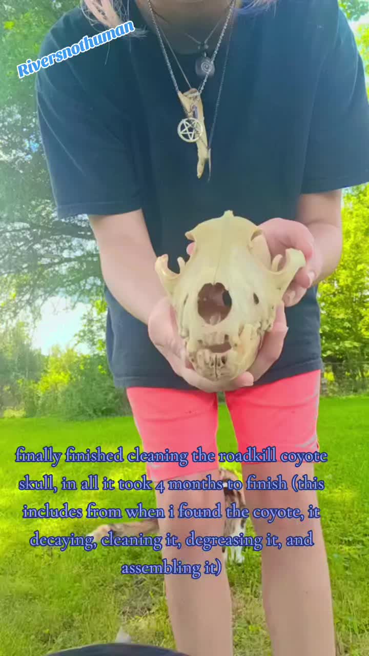 @𓃦𝕽𝖎𝖛𝖊𝖗𓃥