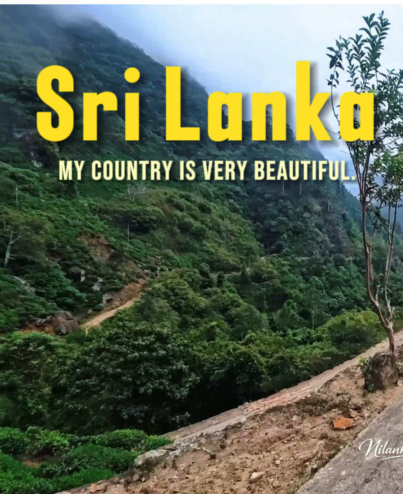 @Nilanka Jayalath