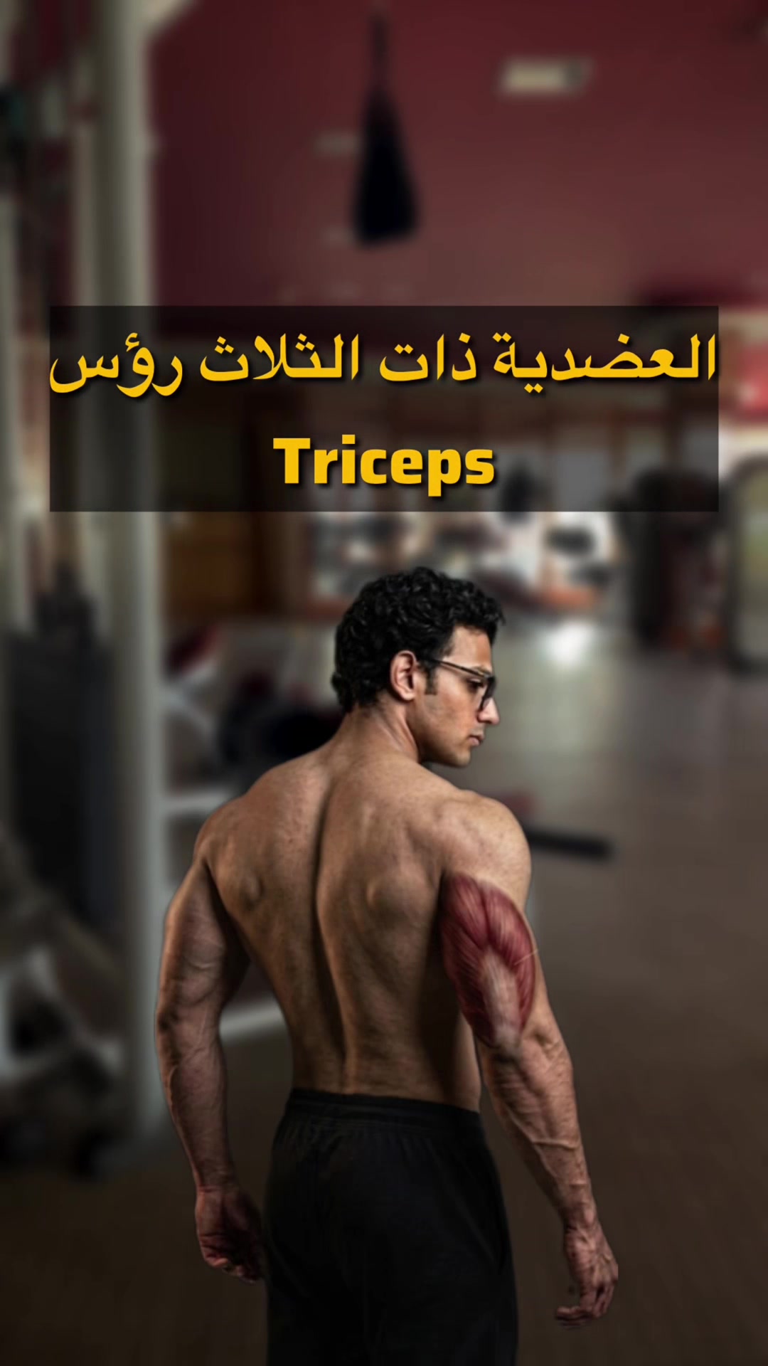 @YOUSSEF