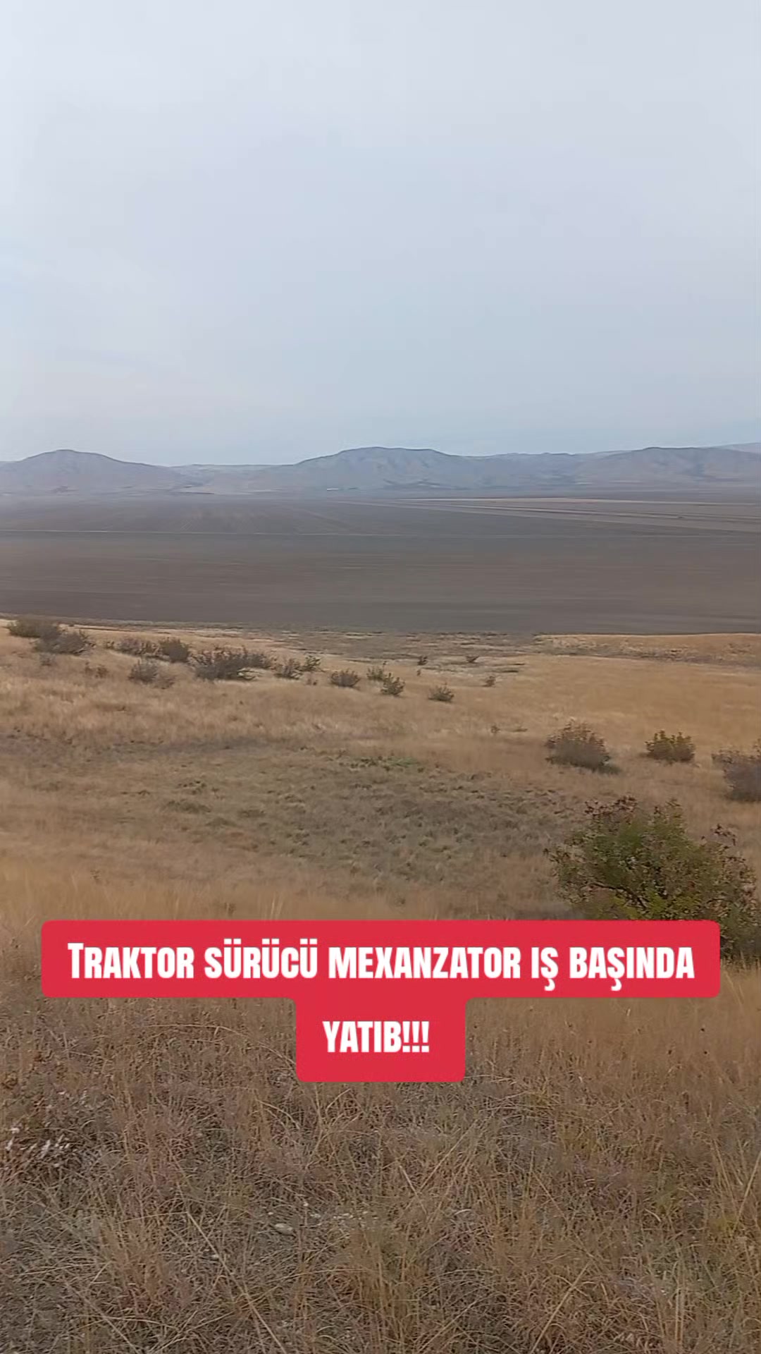 @Traktor_Aləmi