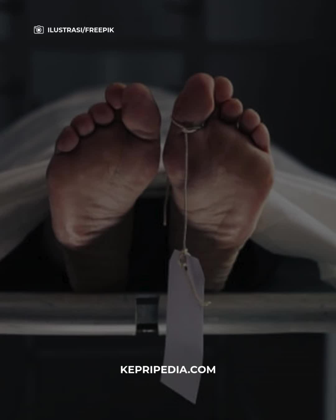 @kepripedia.com