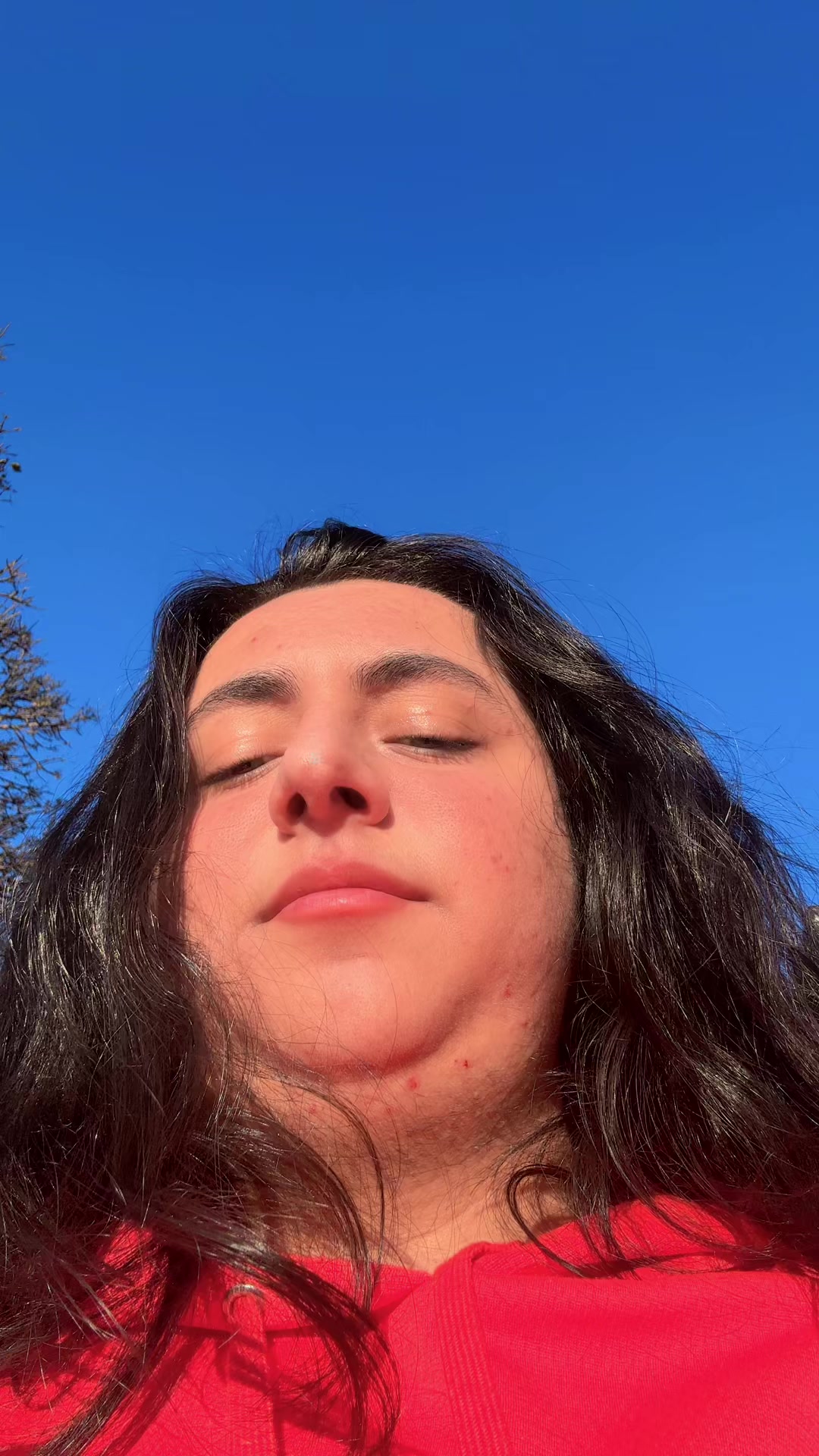 @shayanshabanifckisrl