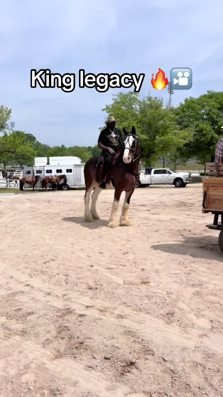 @Cowboy Loochie 🐎