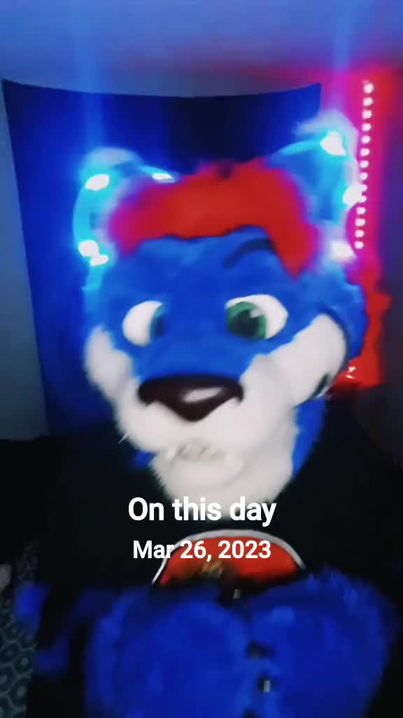@SaltyFox