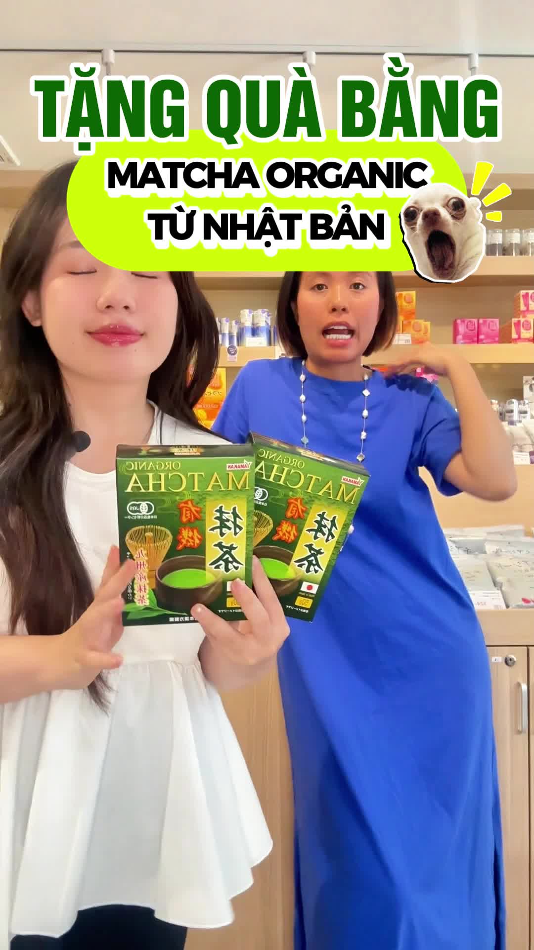 @MORI DRUGSTORE