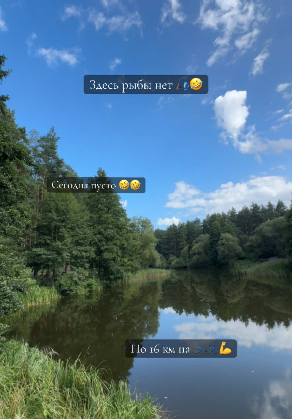 @𝓚𝓪𝓽𝓻𝓲𝓷𝓷🌴