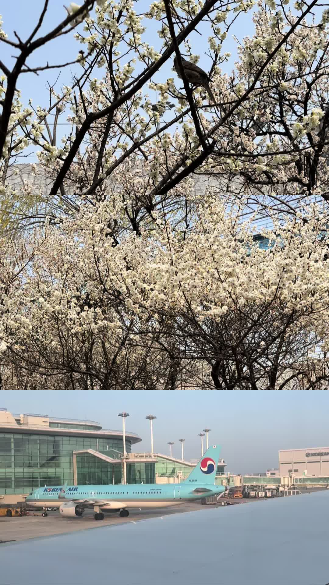 @aug.archive