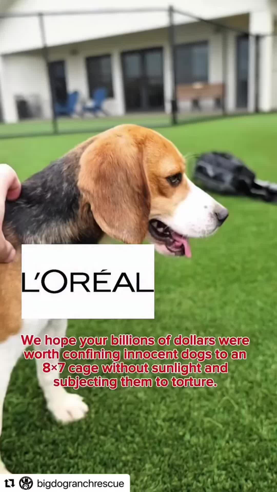 @Otis