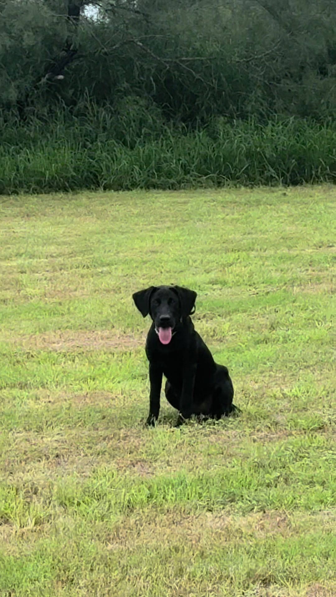 @Alek cavazos