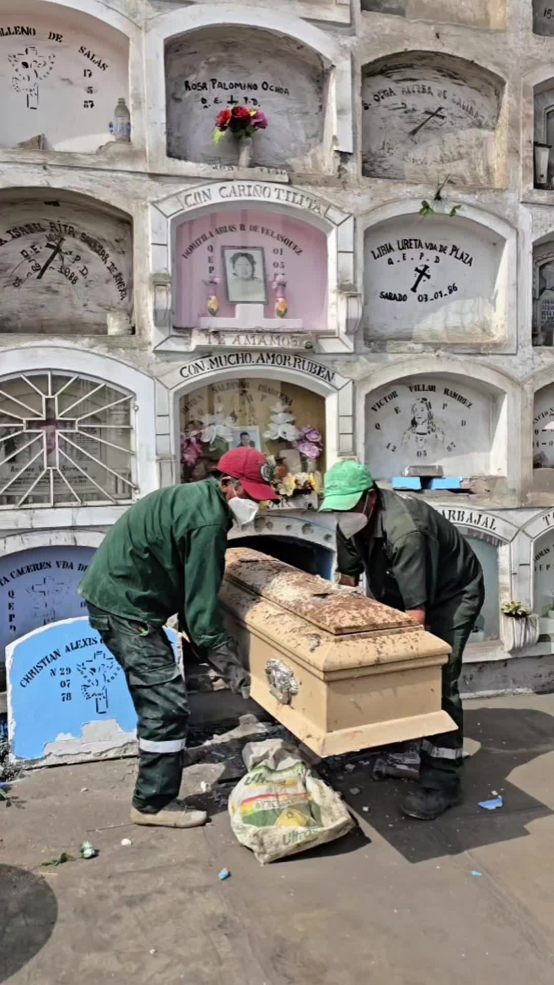 @Vida Perpetua Per&uacute;