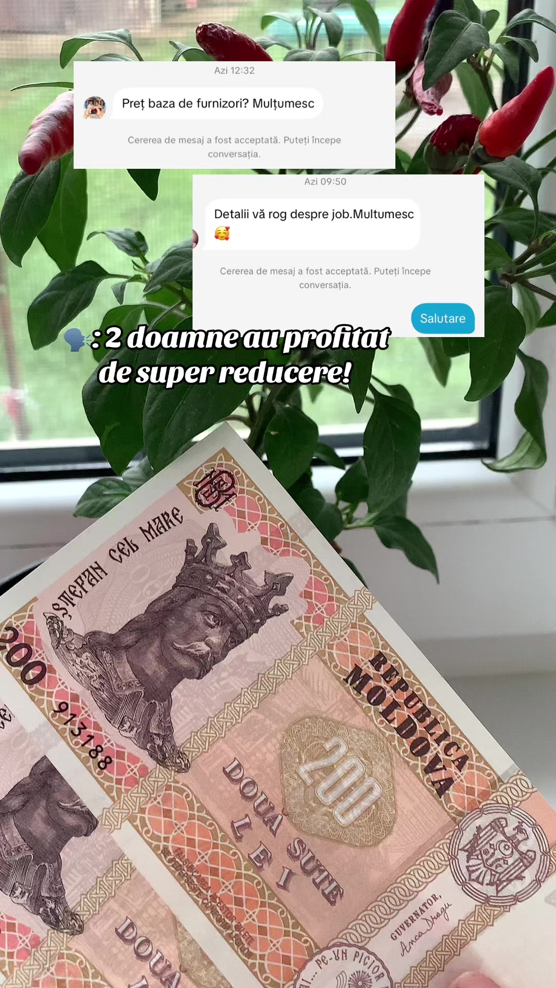 @• Ella•furnizori_reali💸