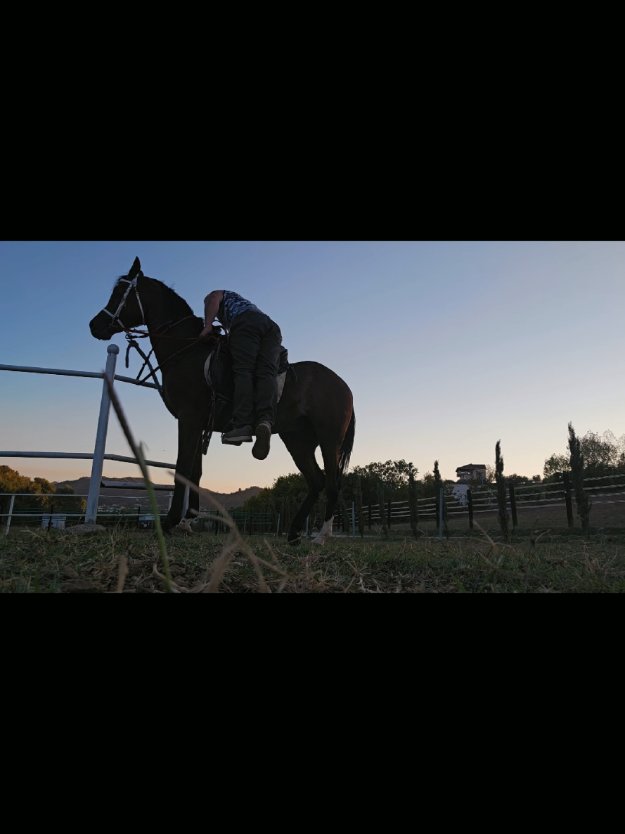@Horse Training Center Albania
