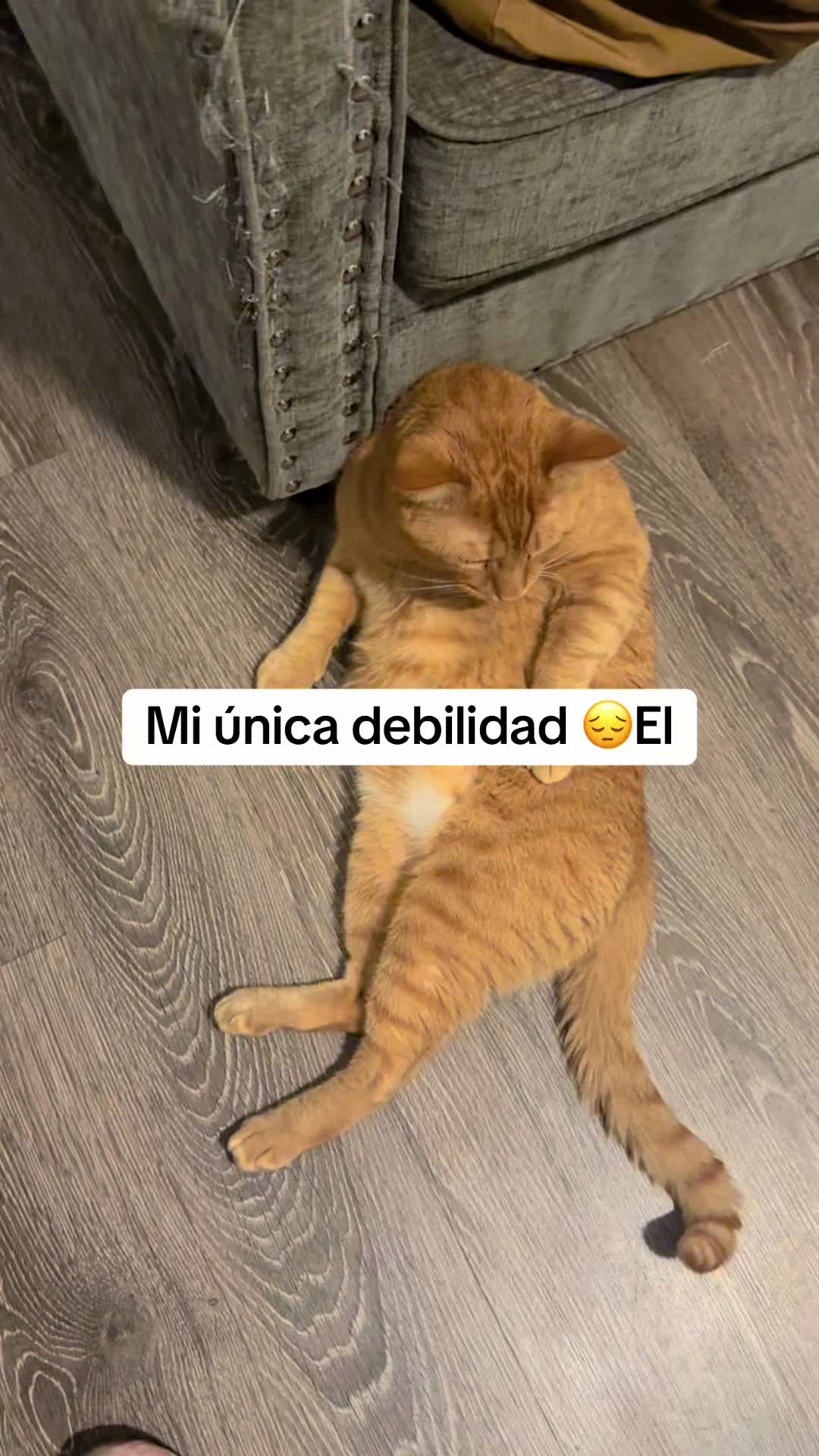 @🦋🦋𝔞вуคв𝔂224 💝💝