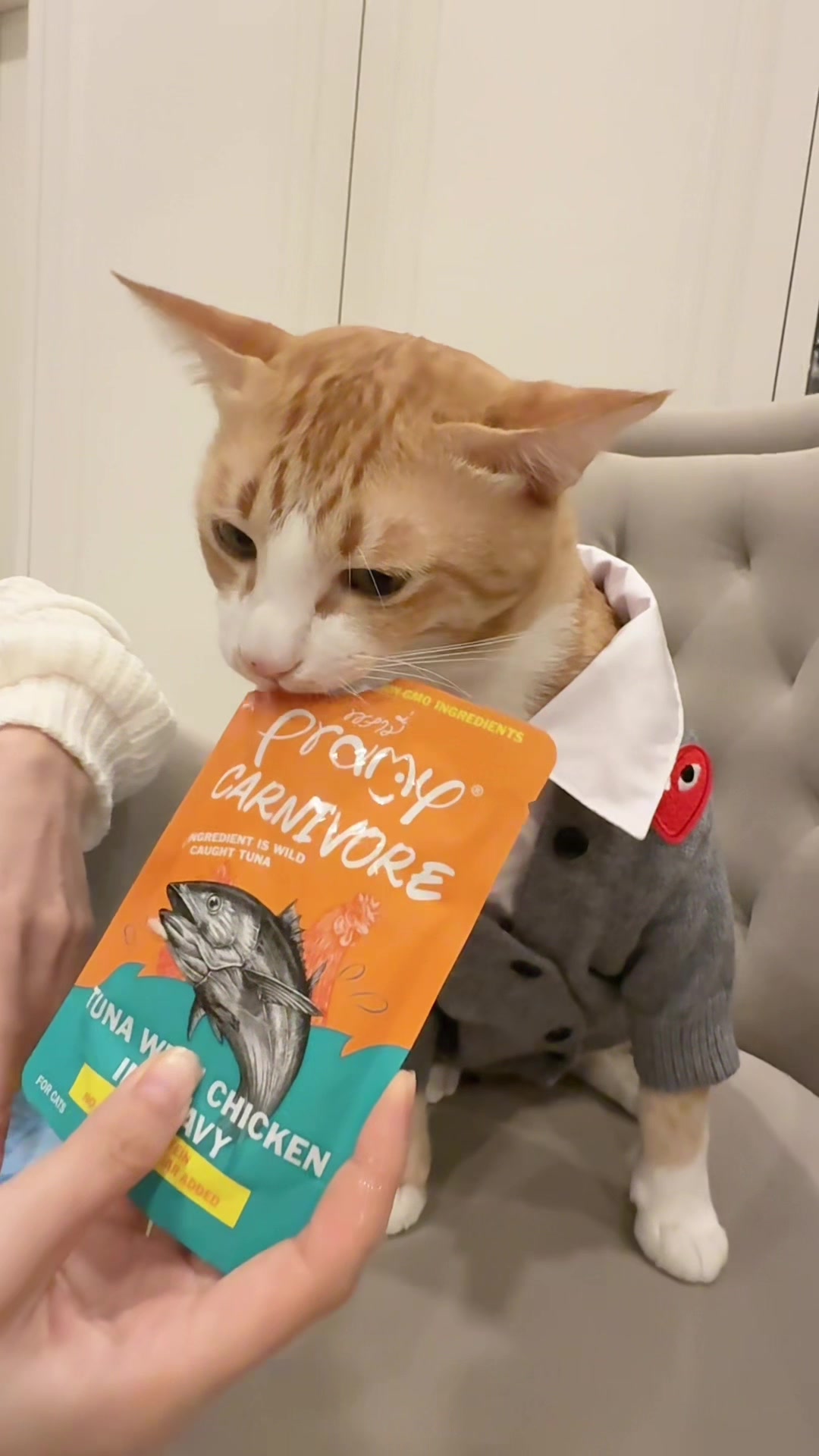 @เกรท 97 💚✨