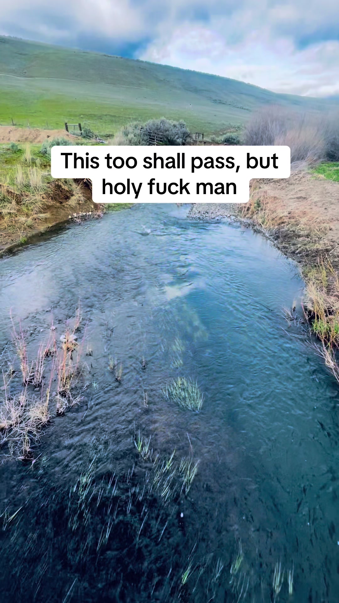 @thatredbarnlady