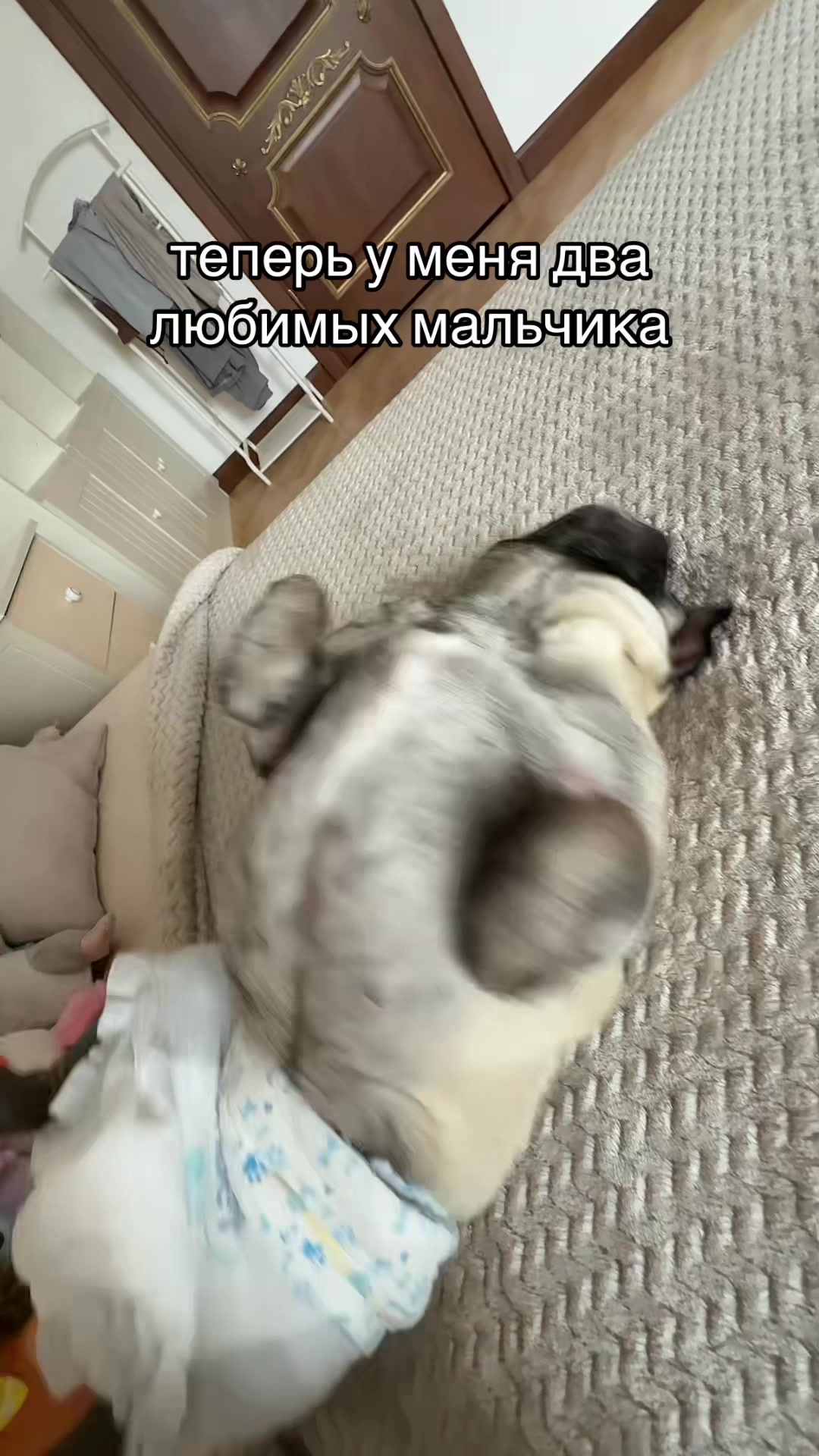 @сашка гангстер бандит