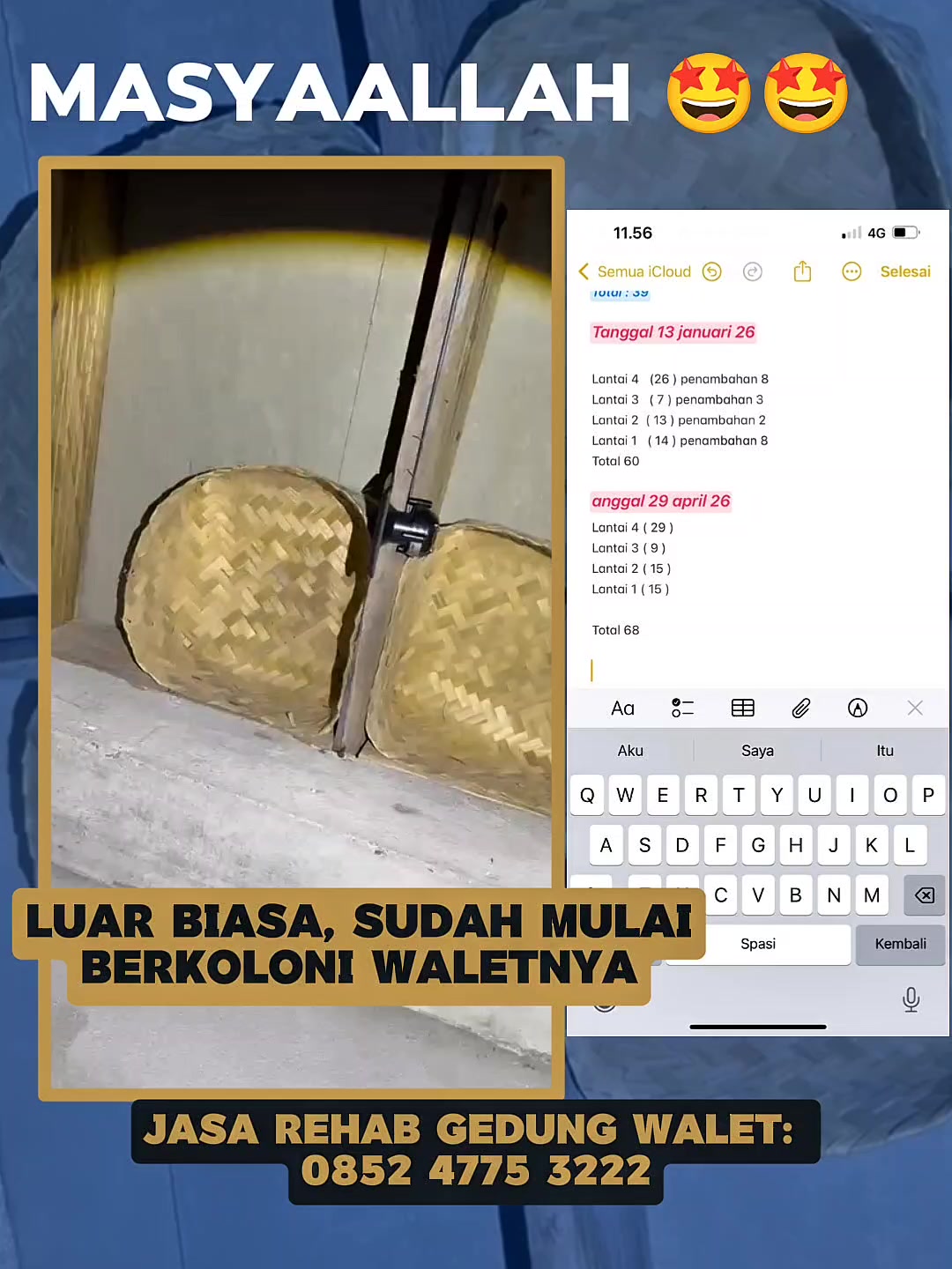 @Walet Rimba Kalimantan