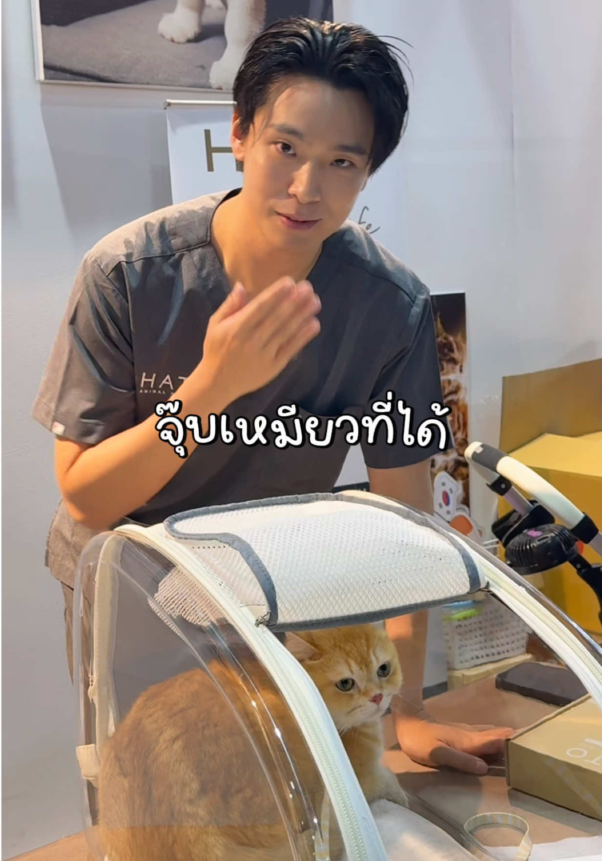 @ชิเอลแมวมึน 😺