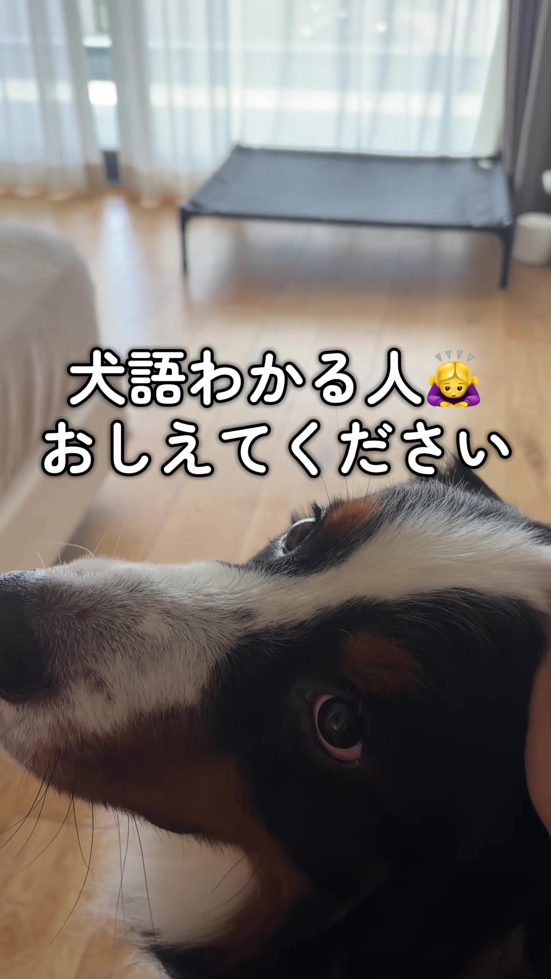 @å¯å£«å±±ð¶ð»ããŒããŒãºããŠã³ãã³ããã° - Fujisan