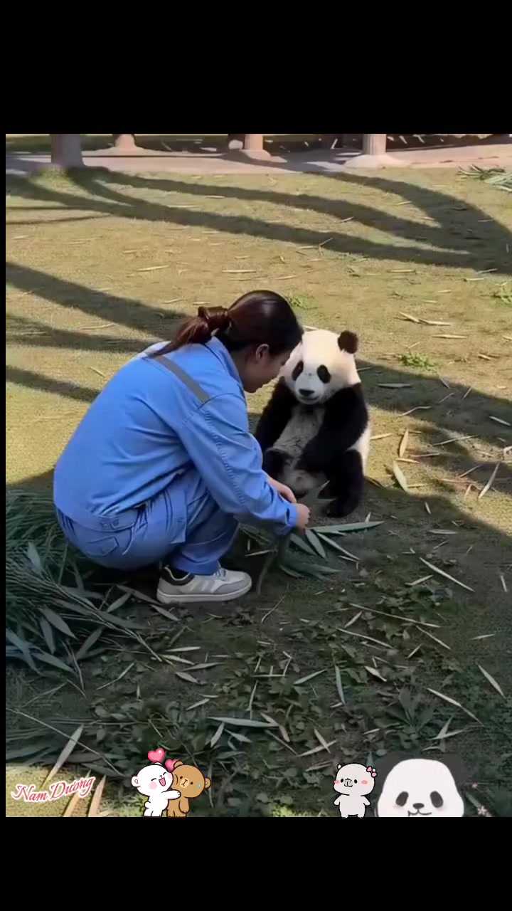 @Nam Dương™
