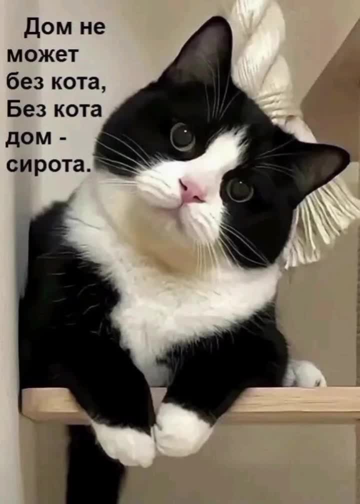 @Светлана Казымова