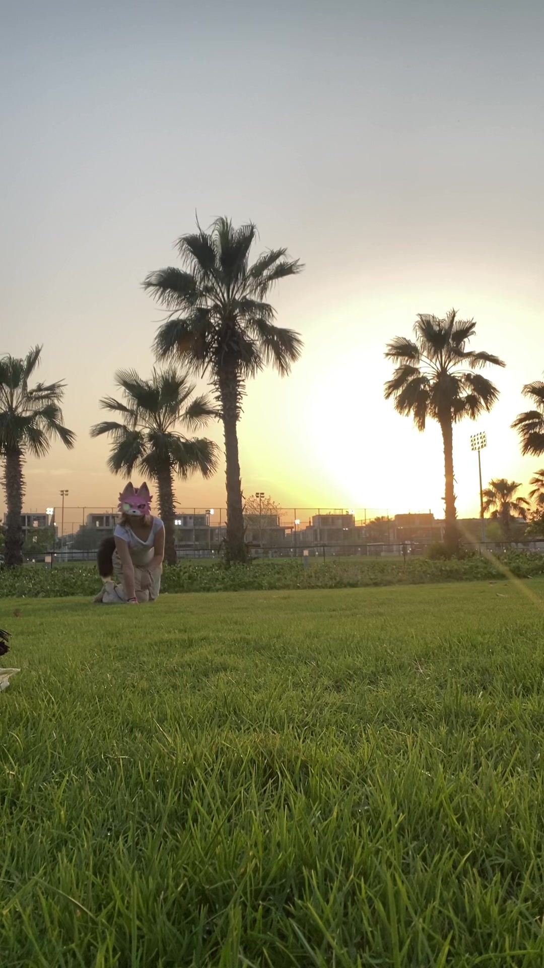 @🐾🌿𝔻𝕣𝕒𝕘𝕠!🔜GameExpo🐾🌿