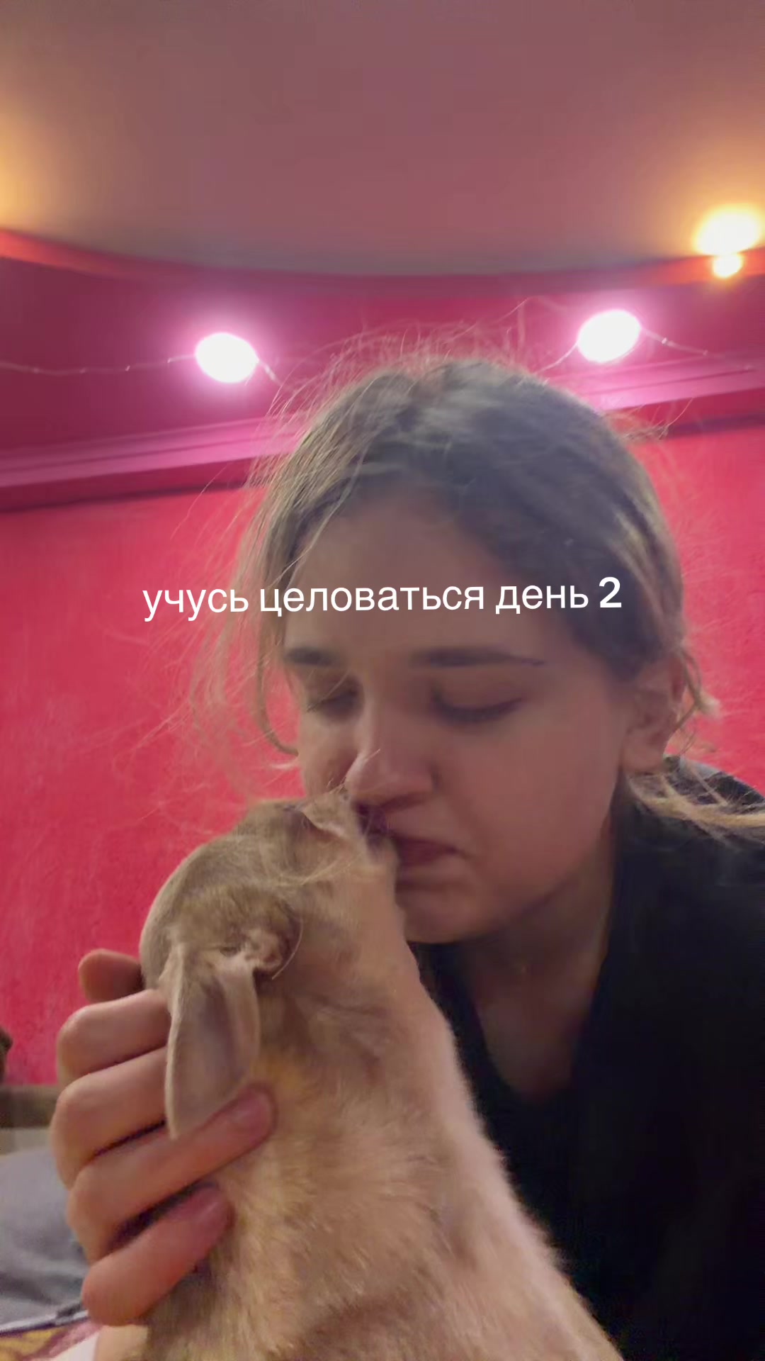 @тг флекса.нет