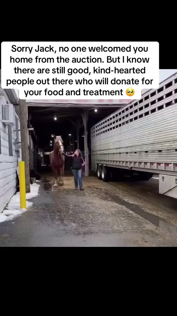 @angels.fleet.rescue