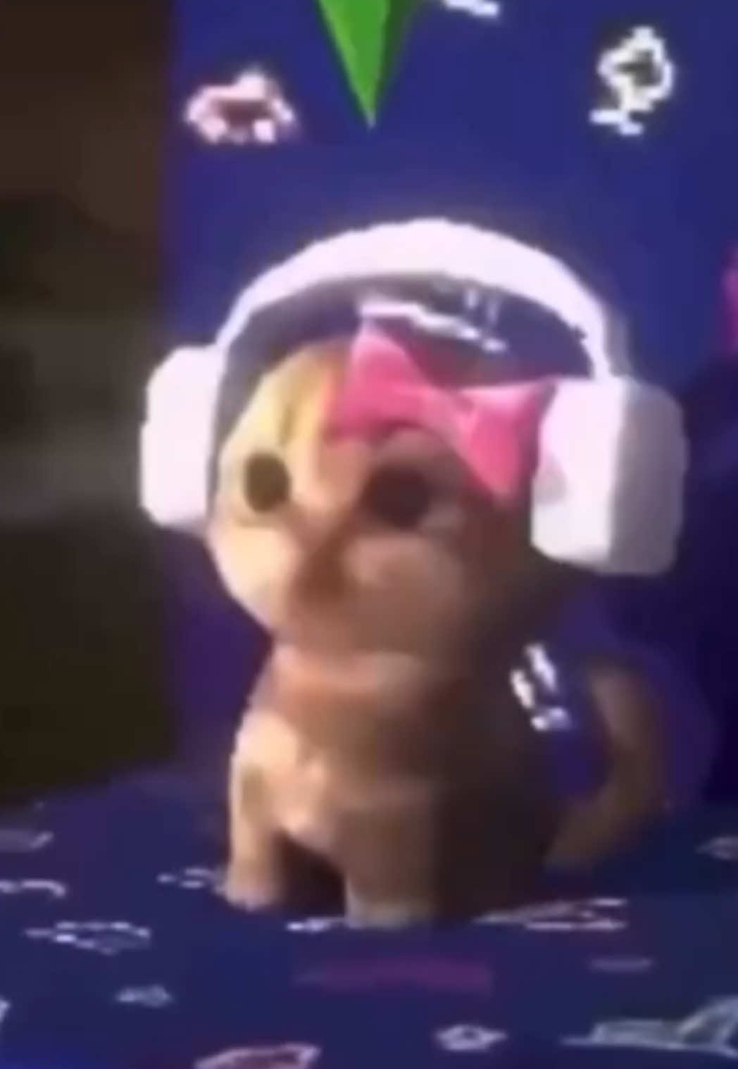 @lleafiaa