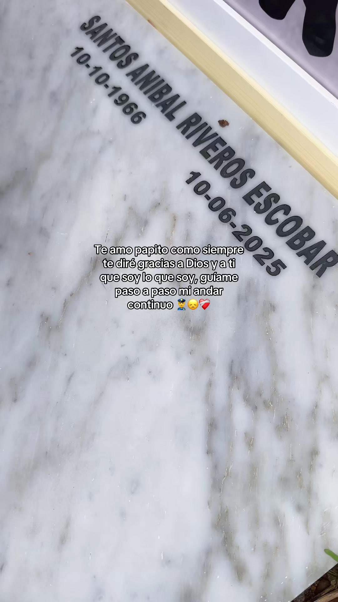 @zizouterry