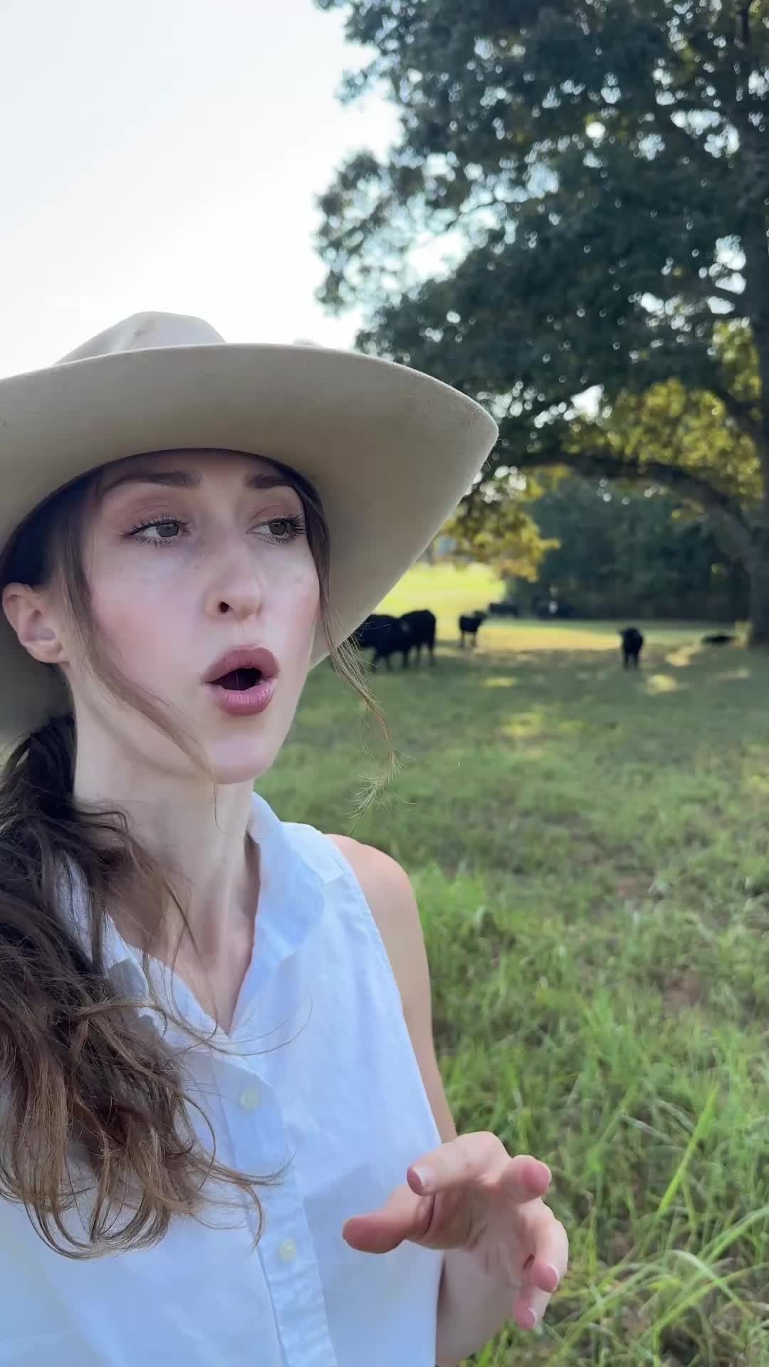 @Lily Hill Farm