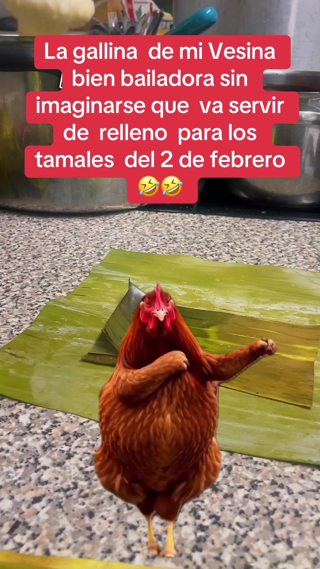 @Alma Baez295