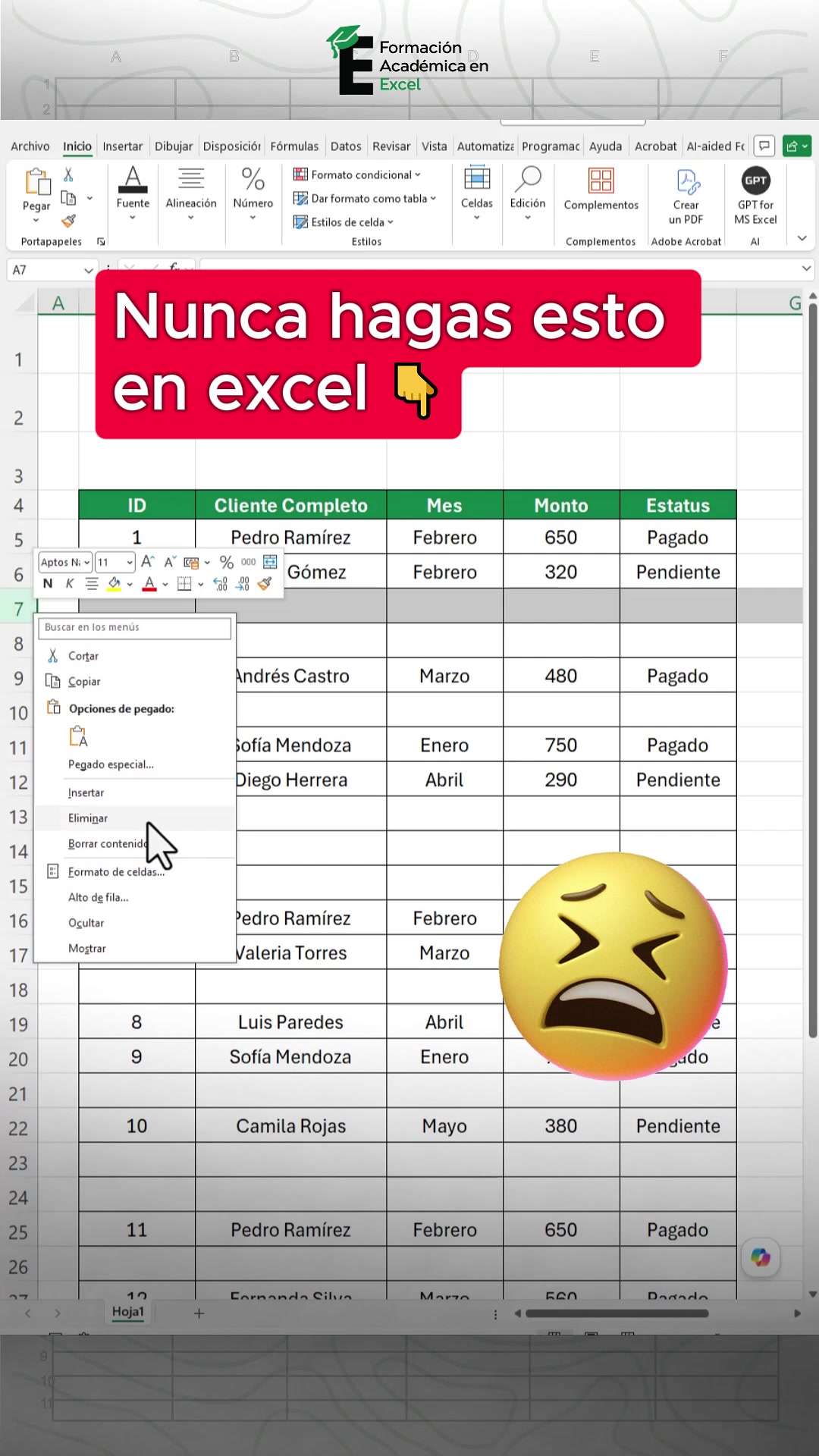 @FAE Formaci&oacute;n Acad&eacute;mica Excel