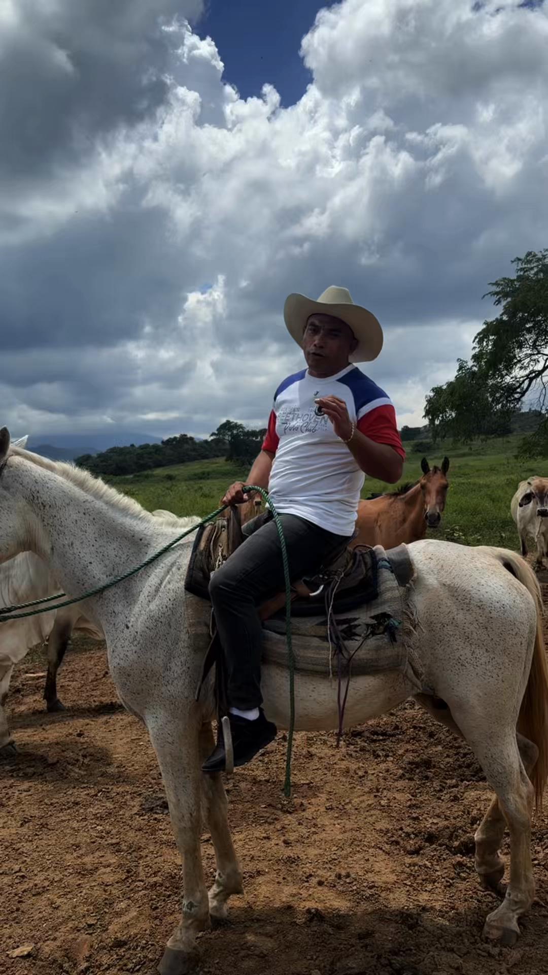 @Víctor Aponte